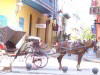 Old Havana Pictures - Carriages